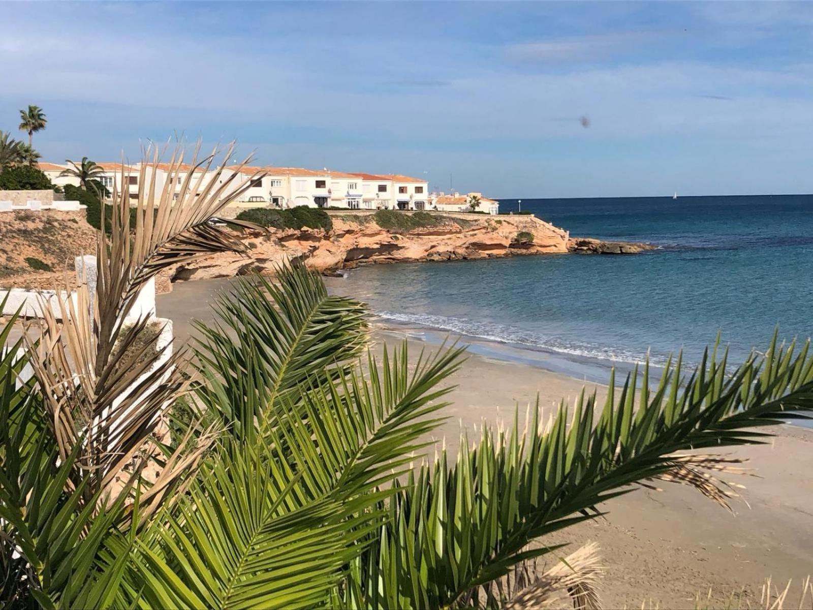 오리후엘라 Palmview Poolside Heaven In Turquesa Del Mar 아파트 외부 사진