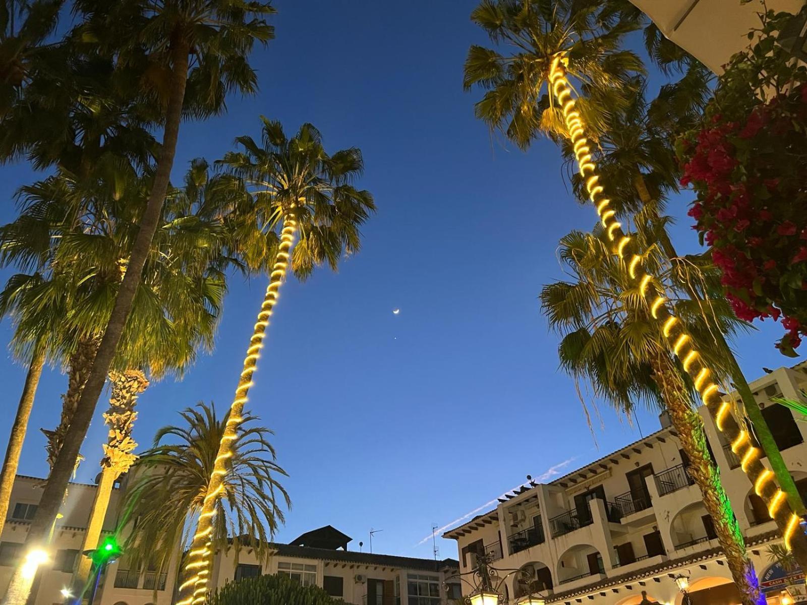 오리후엘라 Palmview Poolside Heaven In Turquesa Del Mar 아파트 외부 사진
